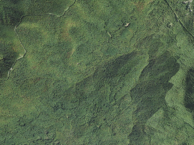 Aerial image of Headwaters Roadside Campsites