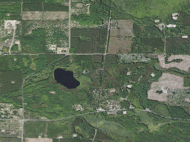 Aerial image of Healy Lake State Forest Campground