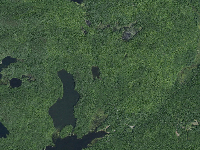 Aerial image of HEART POND PRIMITIVE TENT SITE (Pharaoh Lake Wilderness)