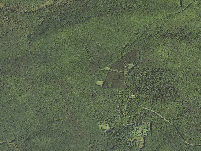 Aerial image of Hearts Content Rec Area