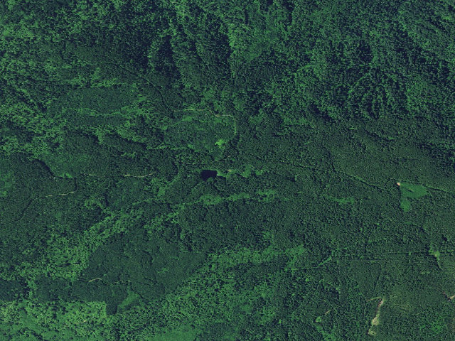 Aerial image of Hebo Lake Campground