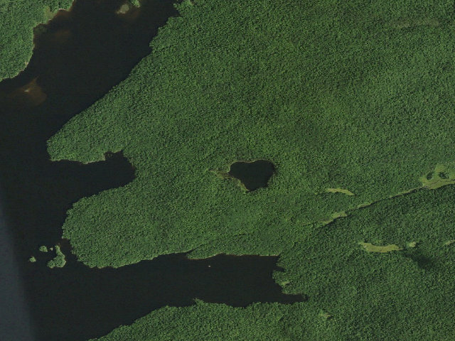 Aerial image of Hedgehog Pond Campsite (Cranberry Lake Wild Forest)