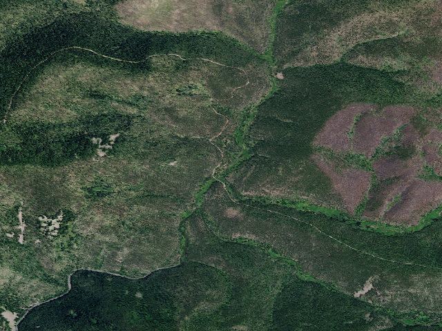 Aerial image of Heller Creek
