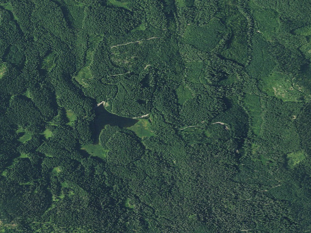 Aerial image of Hemlock Meadows