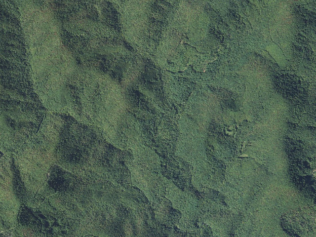 Aerial image of Hendersonville Reservoir Rd Roadside Campsites