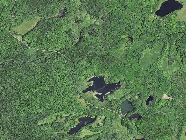 Aerial image of Henry Lake Camp