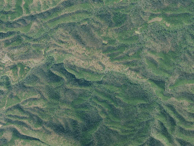 Aerial image of Hickey Gap Forest Service Camping Area