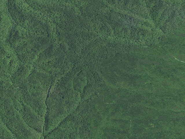 Aerial image of Hickory Ridge Roadside Dispersed Campsite 1 (Hoosier NF)
