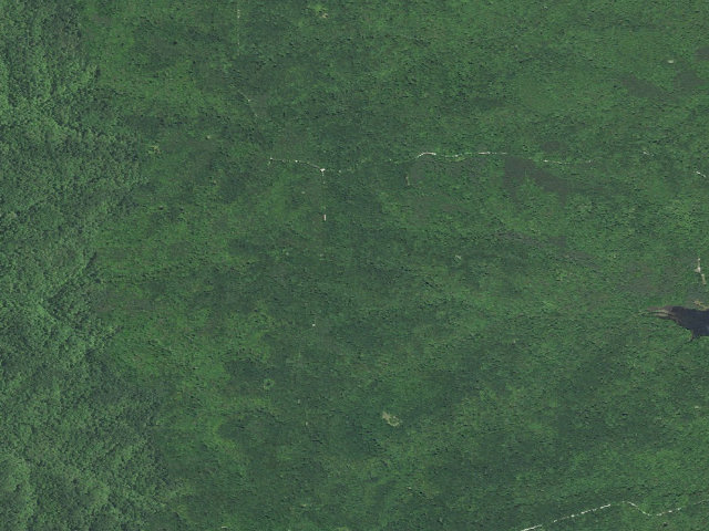 Aerial image of Hickory Ridge Roadside Dispersed Campsite 10 (Hoosier NF)