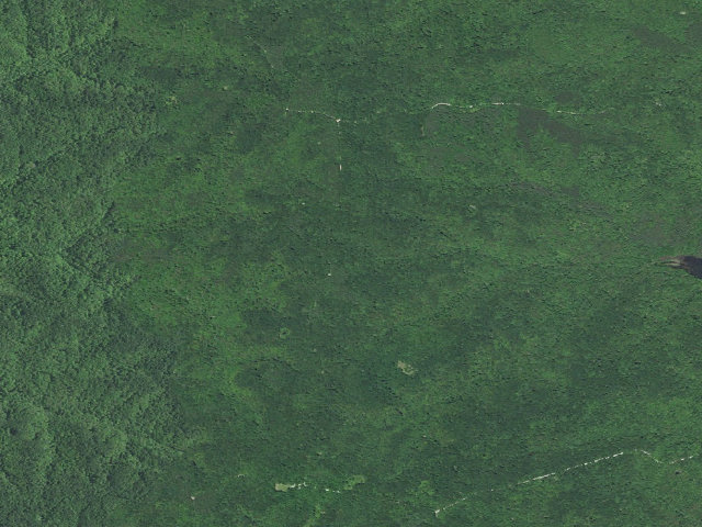Aerial image of Hickory Ridge Roadside Dispersed Campsite 11 (Hoosier NF)