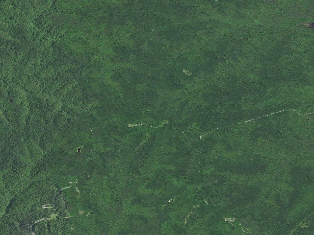 Aerial image of Hickory Ridge Roadside Dispersed Campsite 15 (Hoosier NF)