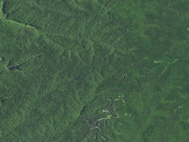 Aerial image of Hickory Ridge Roadside Dispersed Campsite 17 (Hoosier NF)