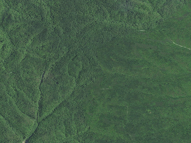 Aerial image of Hickory Ridge Roadside Dispersed Campsite 2 (Hoosier NF)