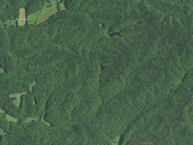 Aerial image of Hickory Ridge Roadside Dispersed Campsite 21 (Hoosier NF)