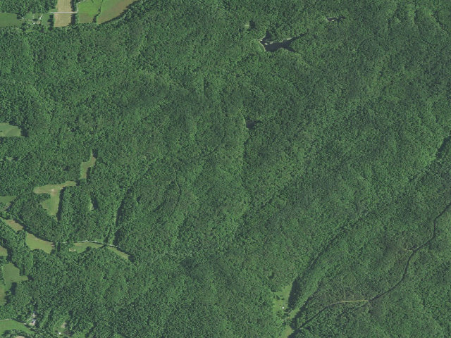 Aerial image of Hickory Ridge Roadside Dispersed Campsite 22 (Hoosier NF)