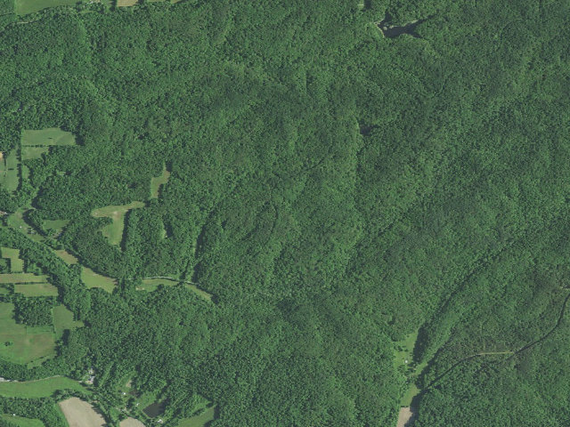 Aerial image of Hickory Ridge Roadside Dispersed Campsite 24 (Hoosier NF)