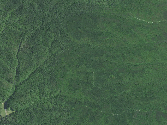 Aerial image of Hickory Ridge Roadside Dispersed Campsite 3 (Hoosier NF)