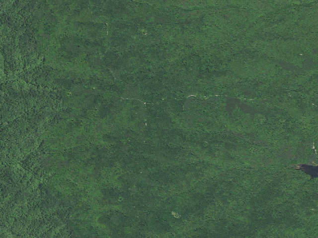 Aerial image of Hickory Ridge Roadside Dispersed Campsite 9 (Hoosier NF)