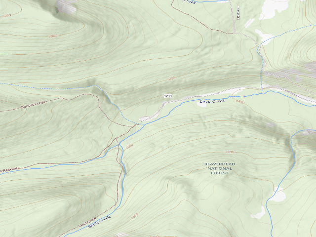 USGS topographic map of Hidden