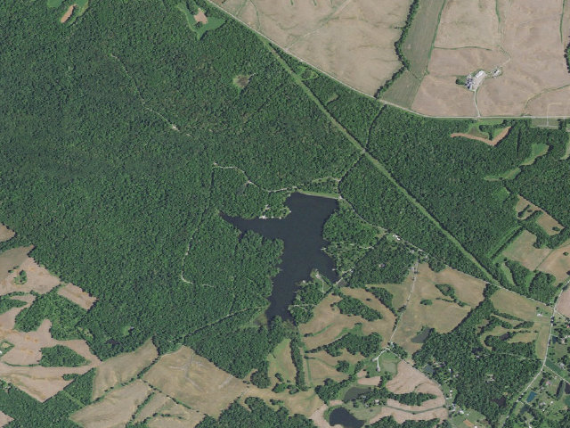 Aerial image of Higginson-Henry WMA - Designated Camping Area (north)