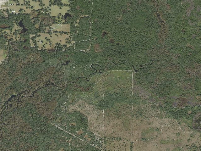 Aerial image of High Bluff (Green Swamp Wilderness Preserve - West Tract)