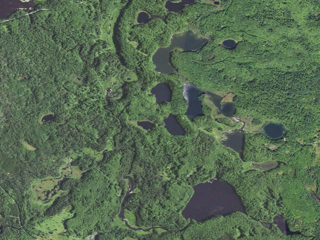 Aerial image of Hike Lake Camping Area
