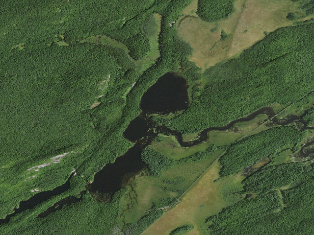 Aerial image of Hitchins Pond Campsite 4 [DEC #3293] (Eastern Five Ponds Access Primitive Area)