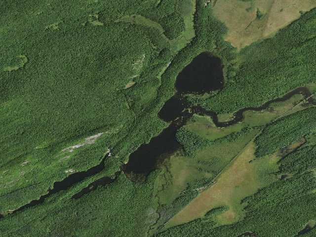 Aerial image of Hitchins Pond Campsite 5 [DEC #3290] (Eastern Five Ponds Access Primitive Area)