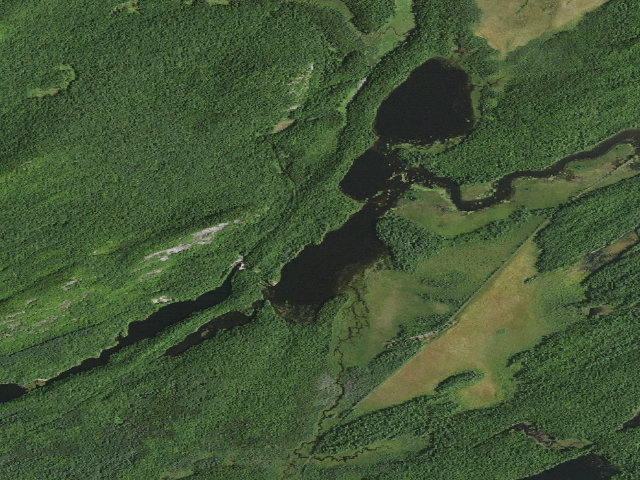 Aerial image of Hitchins Pond Campsite 6 [DEC #3287] (Eastern Five Ponds Access Primitive Area)