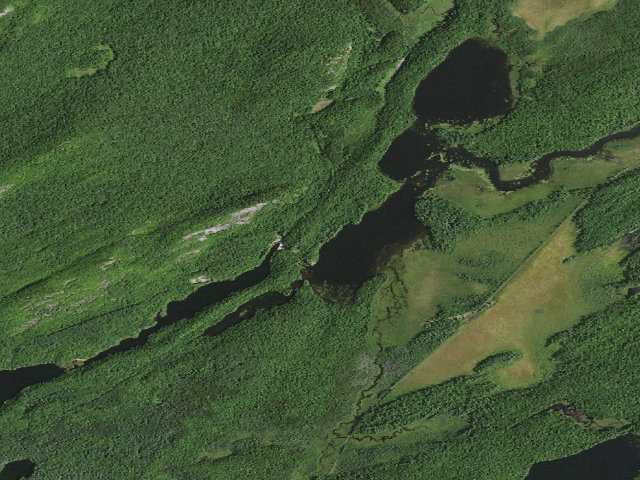 Aerial image of Hitchins Pond Campsite 7 [DEC #3300] (Eastern Five Ponds Access Primitive Area)