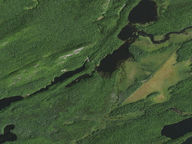 Aerial image of Hitchins Pond Campsite 8 [DEC #3291] (Eastern Five Ponds Access Primitive Area)