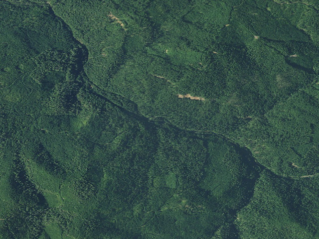 Aerial image of Hobo Forest Camp