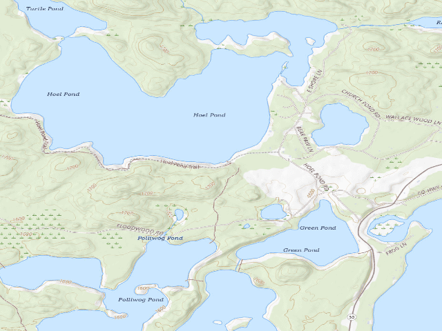 USGS topographic map of Hoel Pond Site 9 (Saranac Lakes Wild Forest)
