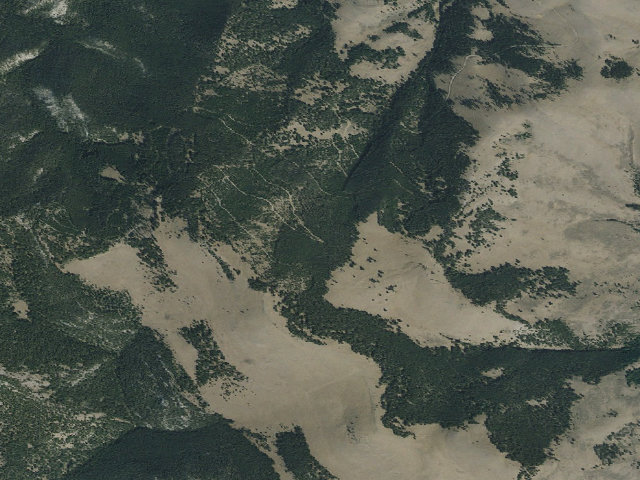 Aerial image of Hog Hollow Rd 614 013