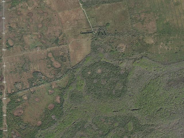 Aerial image of Hog Island White (Fort Drum Marsh Conservation Area)