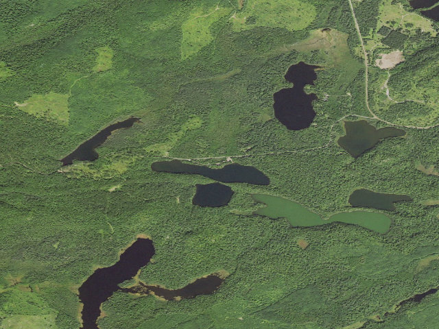 Aerial image of Hogback Lake Rustic Campground