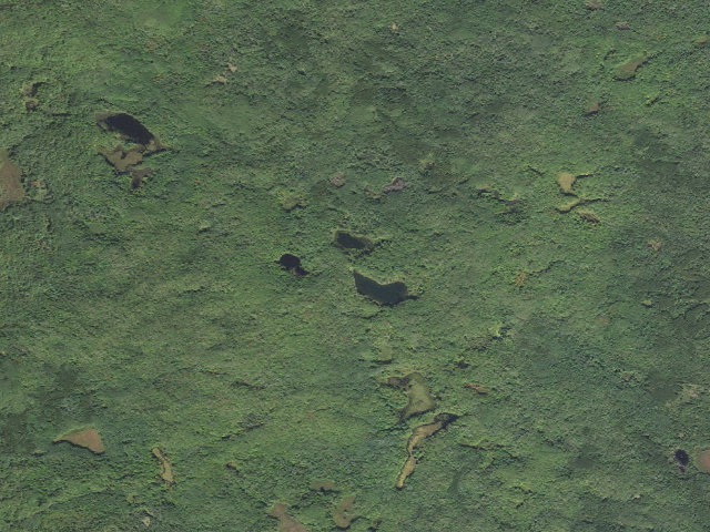 Aerial image of Hoist Lakes Backcountry Campsites