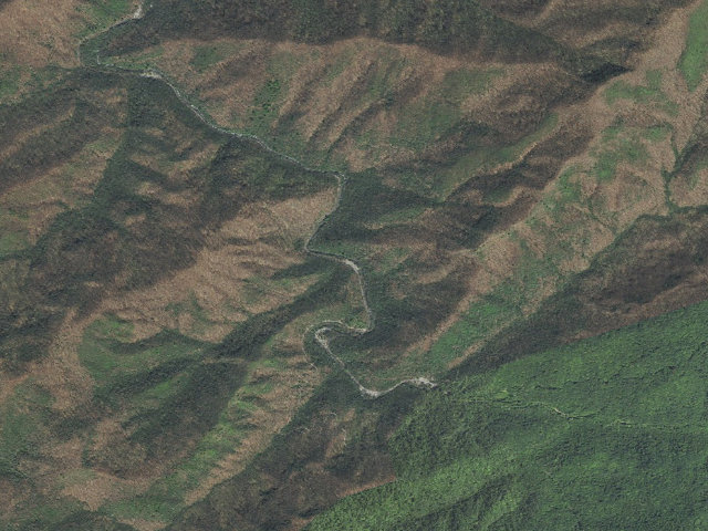 Aerial image of Holder Cove Campground