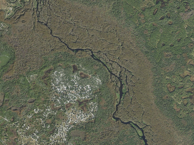 Aerial image of Holly Tree (Potts Preserve)