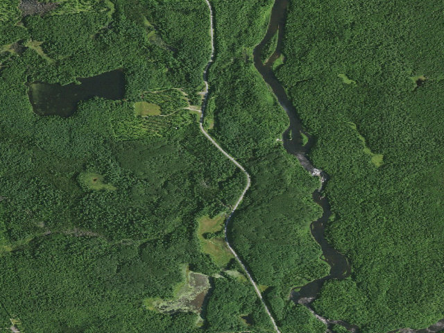 Aerial image of Hollywood Road Campsite 1 (Grass River Wild Forest)