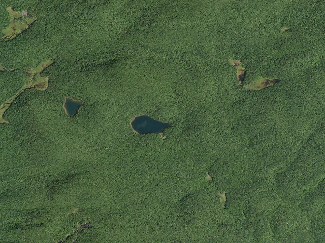 Aerial image of Holmes Lake Tent Site [DEC #6071] (Shaker Mountain Wild Forest)