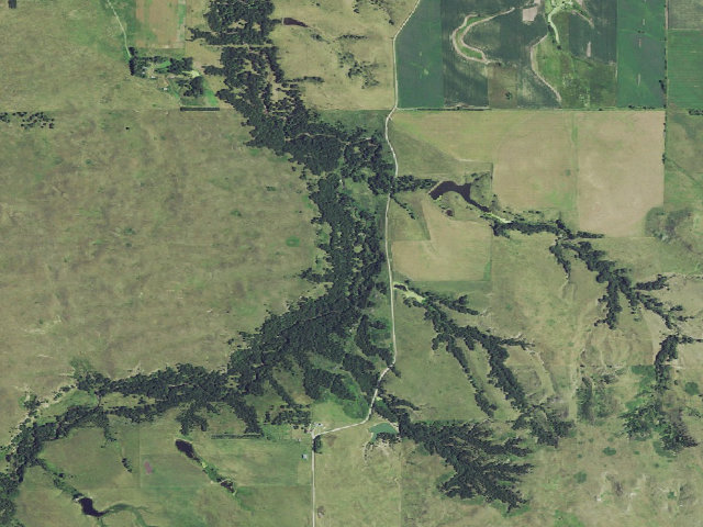 Aerial image of Holt Creek WMA