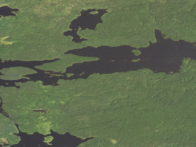 Aerial image of Homer Site 2