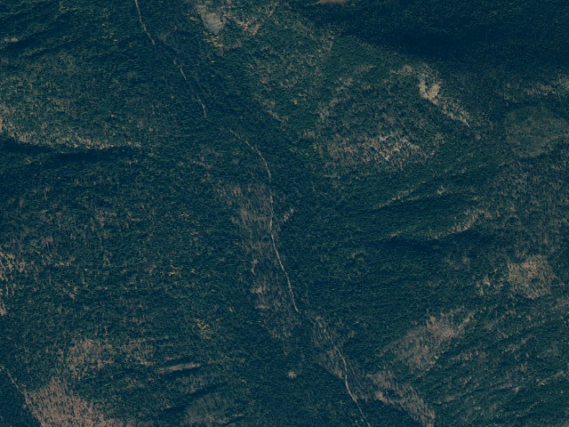 Aerial image of Honeymoon Campground