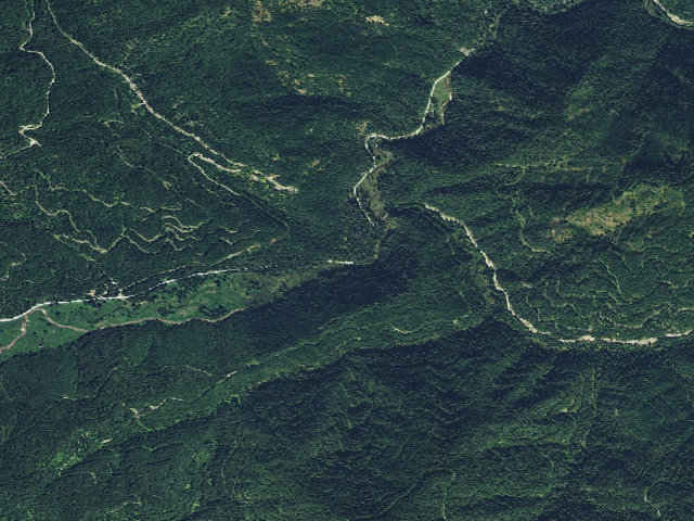 Aerial image of Hook Creek Camp
