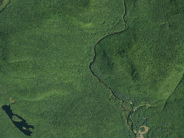 Aerial image of Hope Falls Road Campsite (Wilcox Lake Wild Forest)