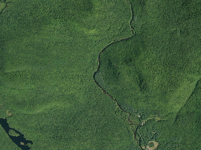 Aerial image of Hope Falls Road Campsite (Wilcox Lake Wild Forest)