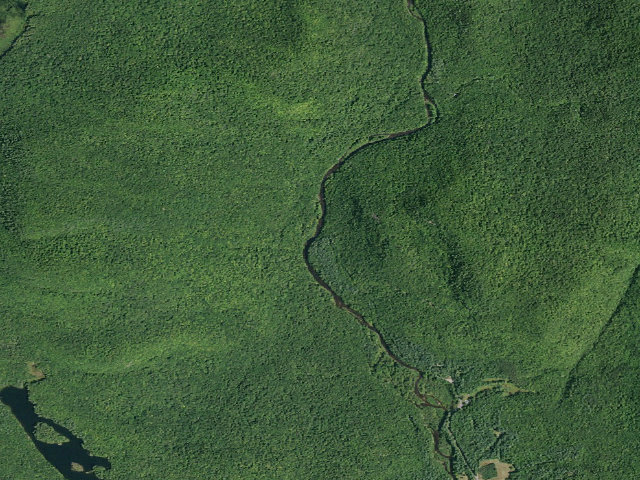 Aerial image of Hope Falls Road Campsite (Wilcox Lake Wild Forest)