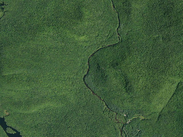 Aerial image of Hope Falls Road Campsite (Wilcox Lake Wild Forest)