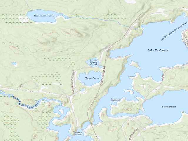 USGS topographic map of Hope Pond Campsite #1 (Debar Mountain Wild Forest)